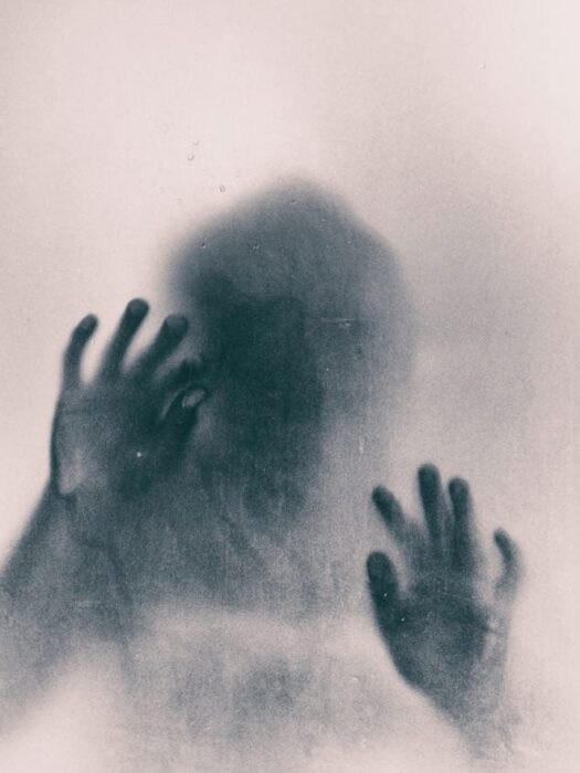 																																										<h5></h5>
																											