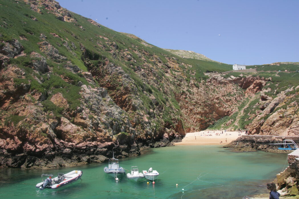 																																										<h5>Berlengas - Portugal</h5>
																											