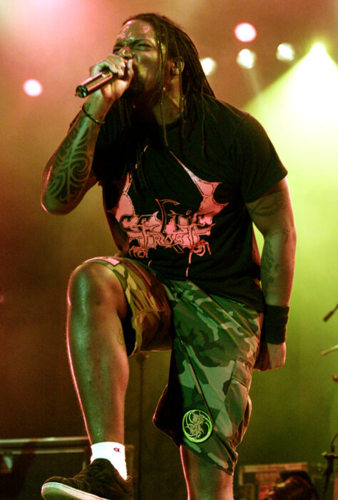 																																										<h5>Sepultura</h5>
																											