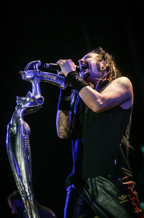 																																										<h5>Korn</h5>
																											