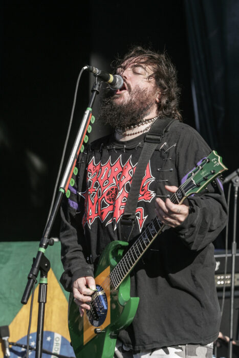 																																										<h5>Soulfly</h5>
																											