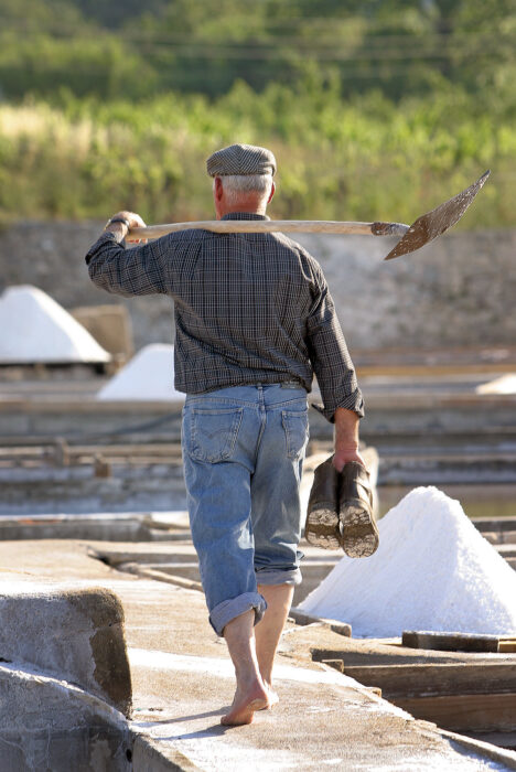 																																										<h5>Salinas de Rio Maior</h5>
																											