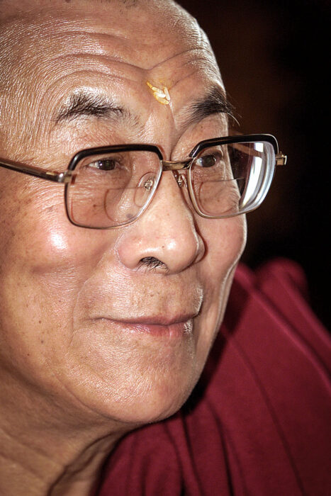 																																										<h5>Dalai Lama</h5>
																											