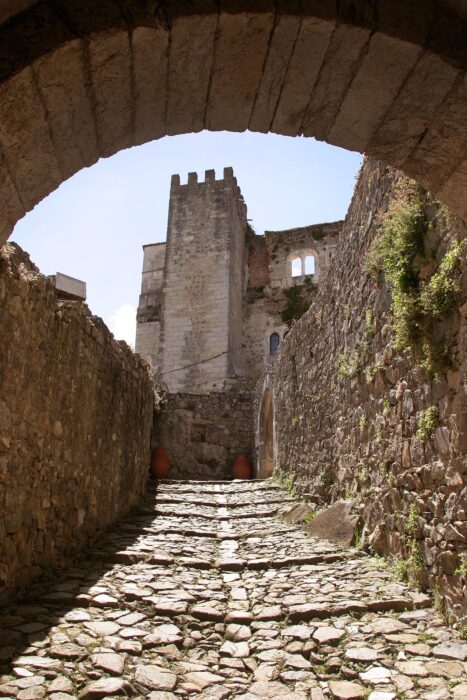 																																										<h5>Leiria - Portugal</h5>
																											