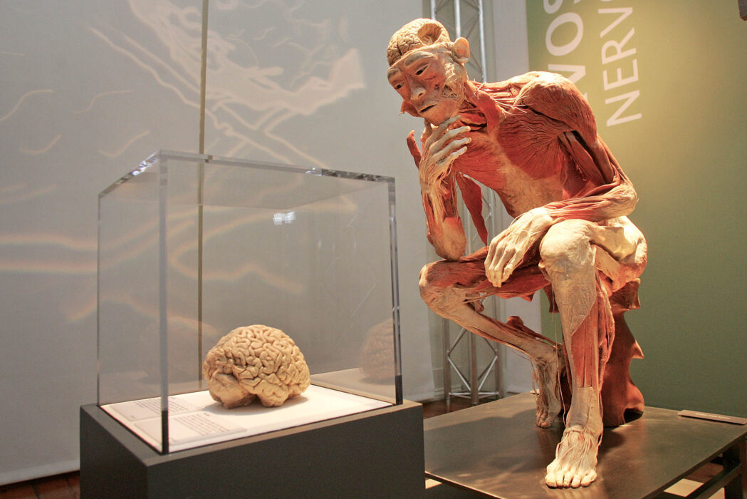 																																										<h5>Exposição "Real Bodies"</h5>
																											